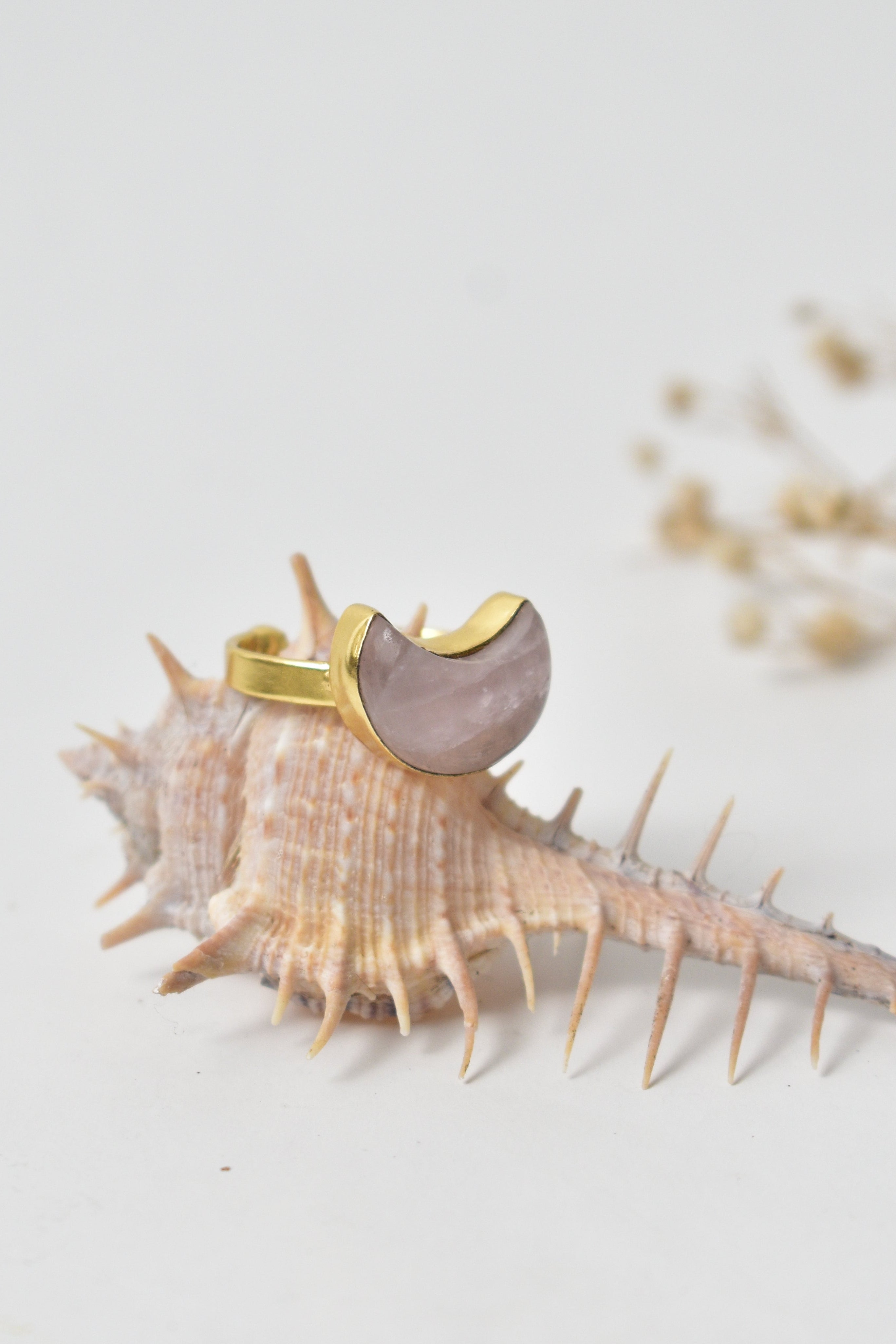 Shell with a gold and gray pendant on a light gray background Kokum jewels